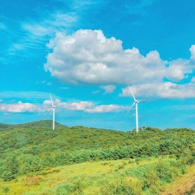 外媒：美国有意停火并与伊朗谈判 以色列担心美方“让步”